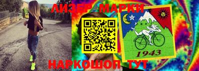 амф Донской