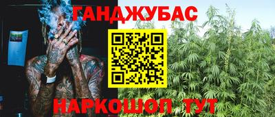 гашик Дубна