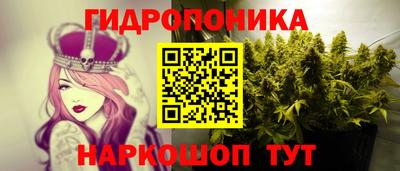 амф Донской