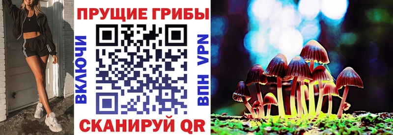 Псилоцибиновые грибы Psilocybine cubensis  Кореновск 