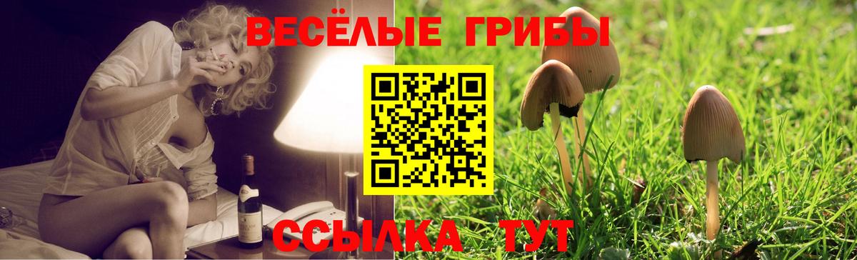 Псилоцибиновые грибы GOLDEN TEACHER Кореновск